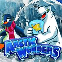 Artic Wonders